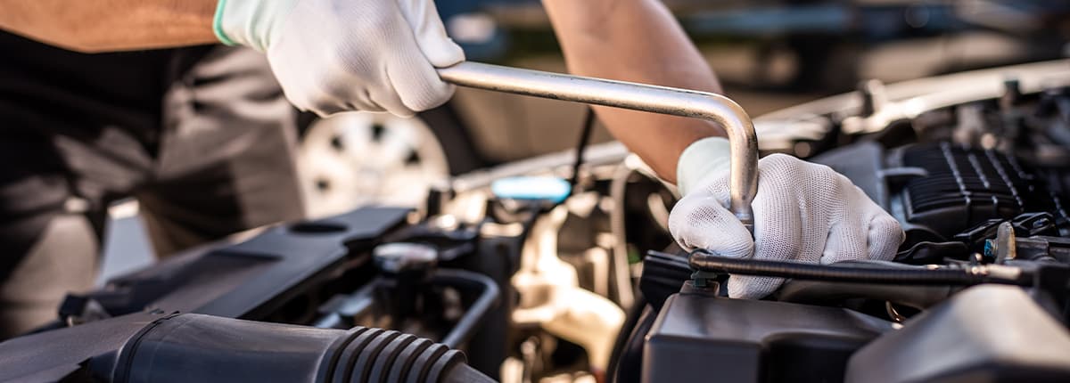 プライバシーポリシー